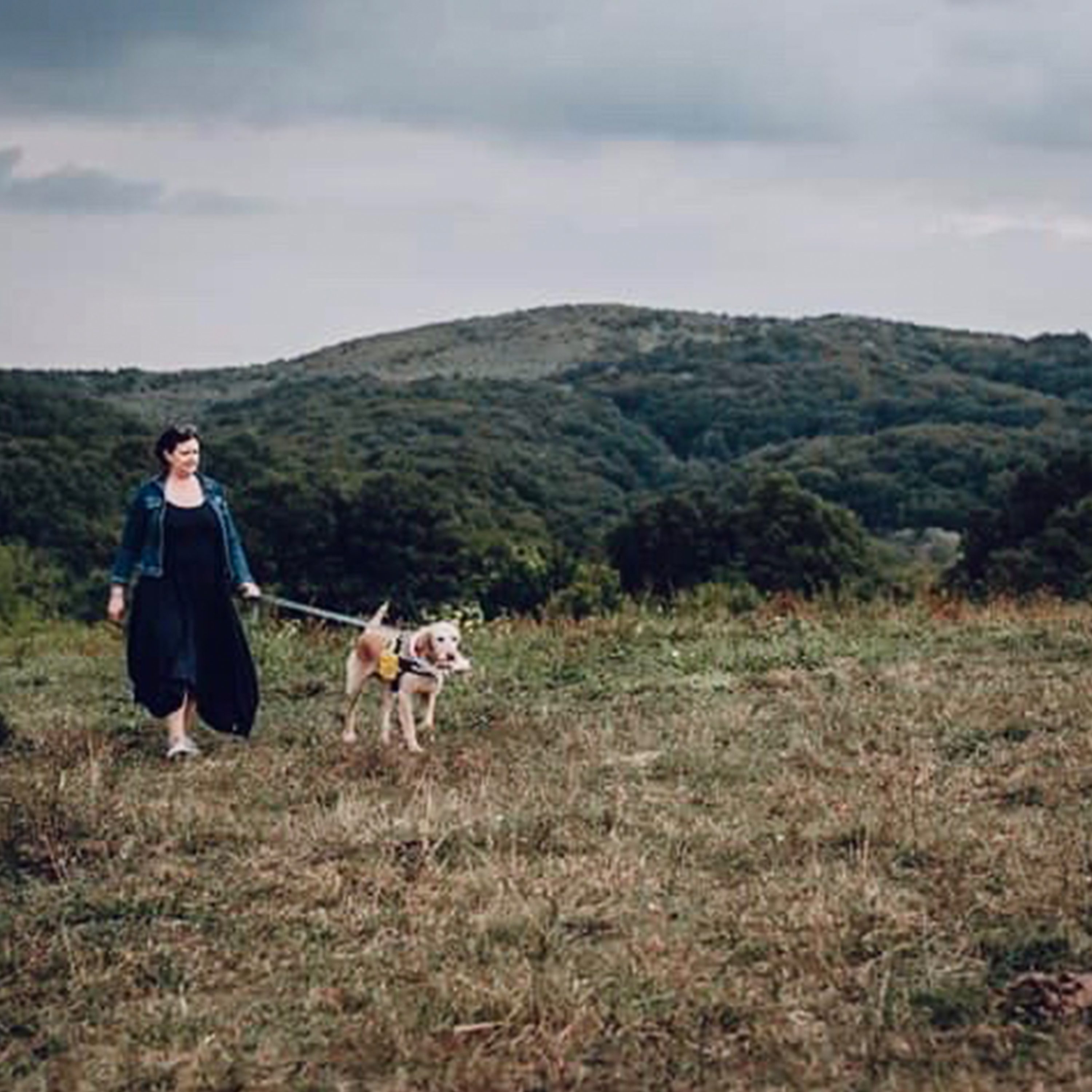 tulipan-rolunk-renner-krisztina tulipan-rolunk-renner-krisztina